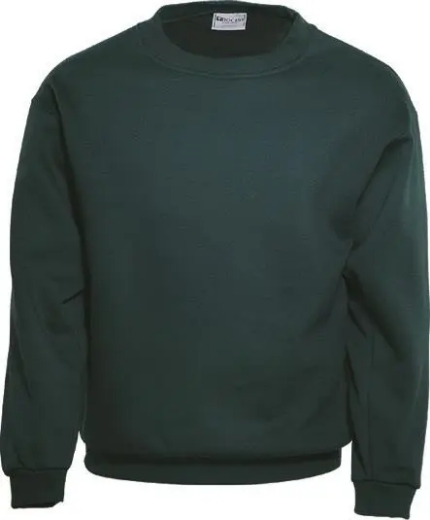 Picture of Bocini, Crew Neck Fleece